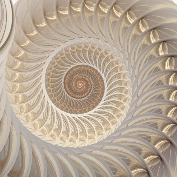 istockphoto-1127001077-612×612-1