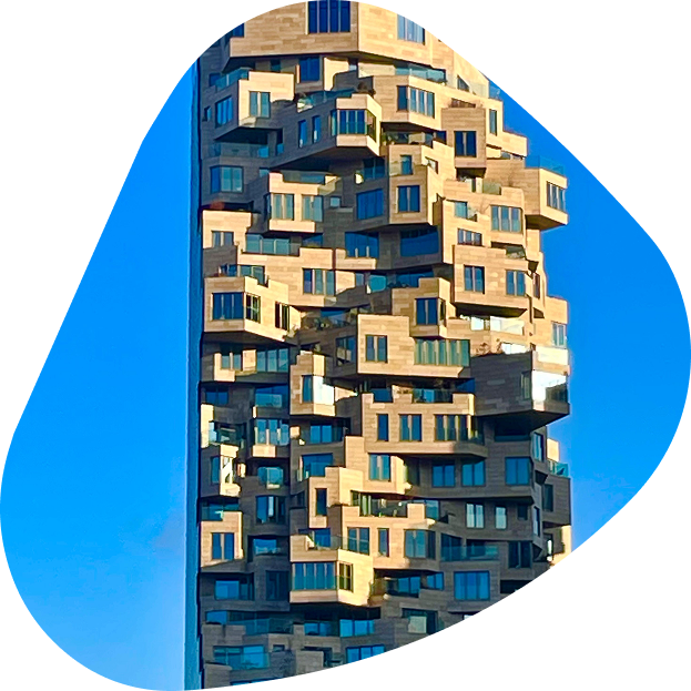 vue du ciel d'un quartier